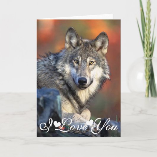 Wolf Fotografien Bild Ich liebe dich Karte (Vorderseite)