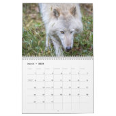 Wolf Fotografy Calendar Kalender (Mär 2026)