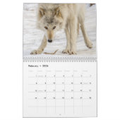 Wolf Fotografy Calendar Kalender (Feb 2026)