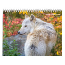 Wolf Fotografy Calendar