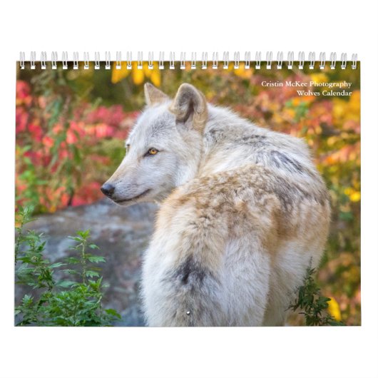 Wolf Fotografy Calendar Kalender (Titelbild)