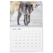 Wolf Fotografy Calendar Kalender (Jan 2026)