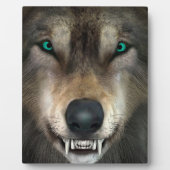 Wolf Fotoplatte (Vorderseite)