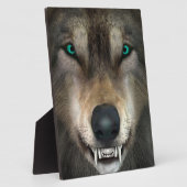 Wolf Fotoplatte (Seite)