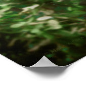 WOLF FREI ZU LEBEN POSTER (Ecke)