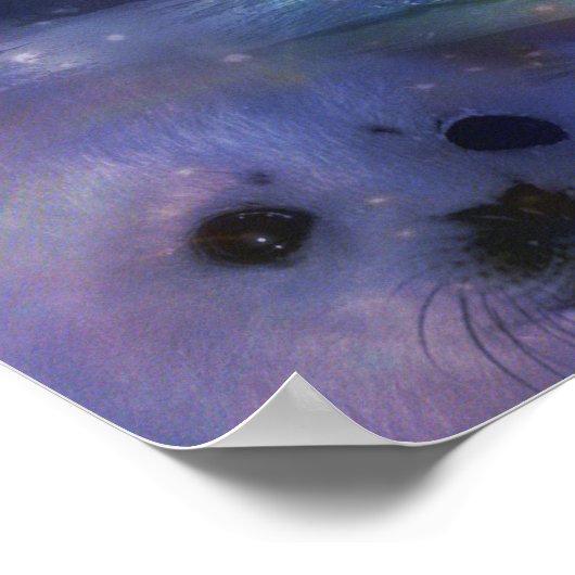 Wolf - Führer des Pakets Poster (Ecke)