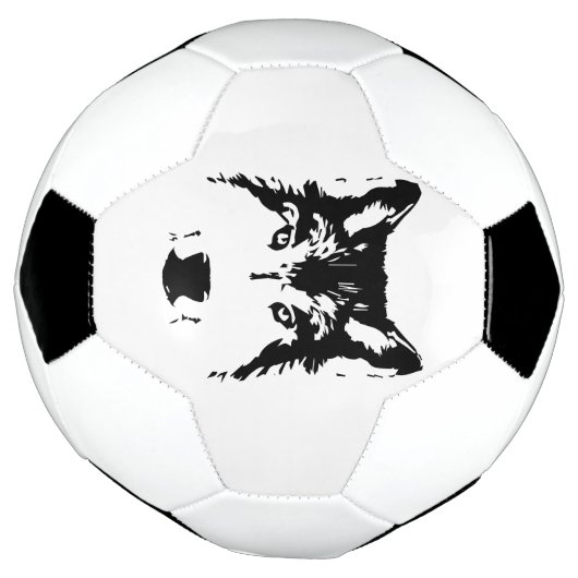 Wolf Fußball (Gedreht)