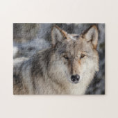 Wolf Game Puzzle (Horizontal)