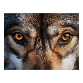 Wolf Gaze Poster