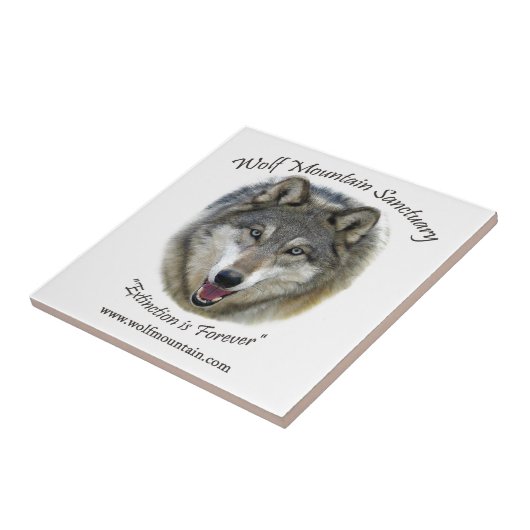 Wolf-Gebirgsschongebiet - Istas Fliese (Seite)