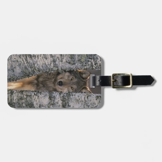 Wolf Gepäckanhänger (Vorderseite horizontal)