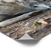 Wolf Gerahmt Print Poster (Ecke)