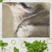 Wolf-Geschirrtücher Handtuch (Gefaltet)