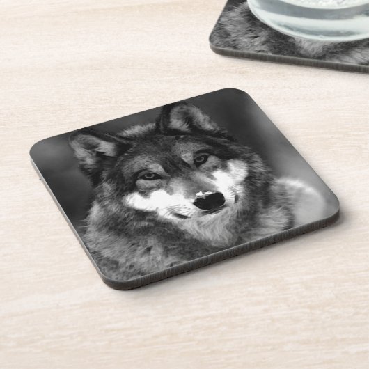 Wolf Getränkeuntersetzer (Linke Seite)