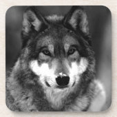 Wolf Getränkeuntersetzer (Vorderseite)