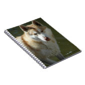 Wolf-gewundenes Notizbuch Notizblock (Rechte Seite)