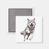 Wolf glücklich spielerischer Spaß beim Springen im Magnet (Vorderseite/Rückseite)