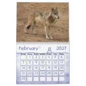 Wolf-grauer Wolf-Kalender Kalender (Feb 2027)