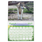 Wolf-grauer Wolf-Kalender Kalender (Mär 2027)