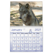 Wolf-grauer Wolf-Kalender Kalender (Jan 2027)