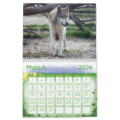 Wolf-grauer Wolf-Kalender Kalender (Mär 2026)