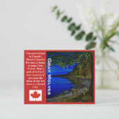 Wolf! Grauwölfe und Barrierenschüssel. Postkarte (Stehend Vorderseite)