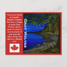 Wolf! Grauwölfe und Barrierenschüssel. Postkarte
