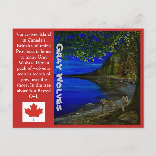 Wolf! Grauwölfe und Barrierenschüssel. Postkarte (Vorderseite)