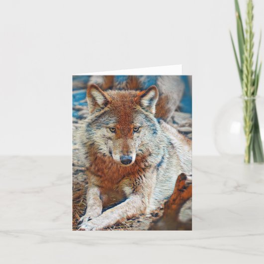 Wolf Grußkarte Karte (Vorderseite)