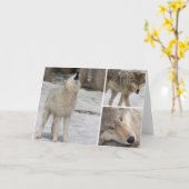 Wolf - Grußkarte - Leere personalisieren Karte (Gelbe Blume)