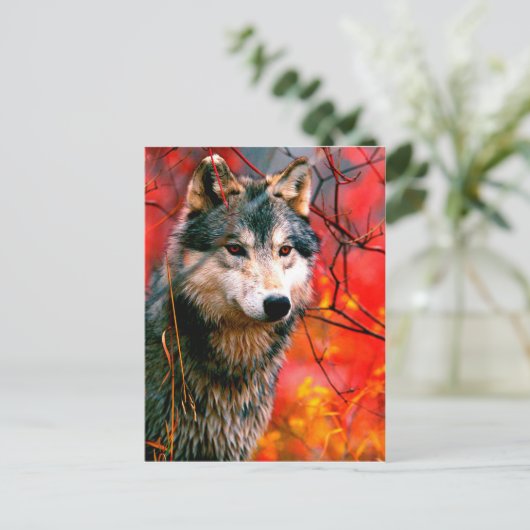 Wolf guckt durch Blätter in einem Wald Postkarte (Stehend Vorderseite)
