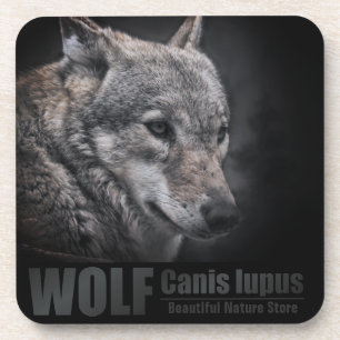 WOLF [harter Kunststoff-Untersetzer] Getränkeuntersetzer