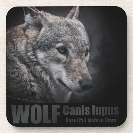 WOLF [harter Kunststoff-Untersetzer] Getränkeuntersetzer (Vorderseite)