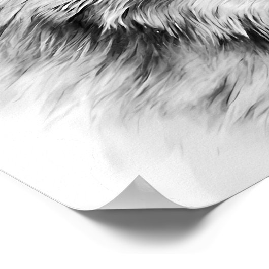 Wolf Head Portrait Schwarz-weiß Poster (Ecke)