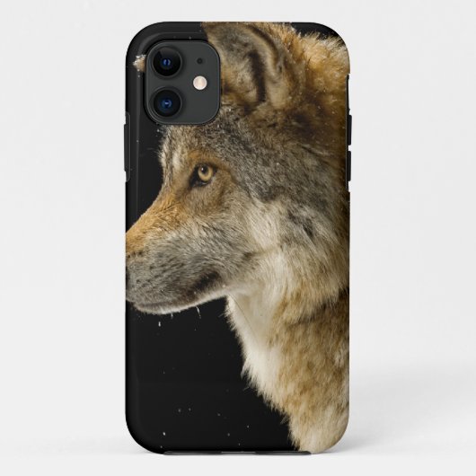 Wolf Head Side View Case-Mate iPhone Hülle (Rückseite)