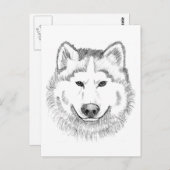 Wolf Head Sketch Postkarte (Vorne/Hinten)
