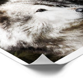 Wolf Head Study Poster (Ecke)