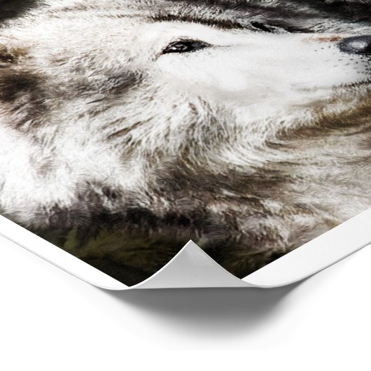 Wolf Head Study Poster (Ecke)