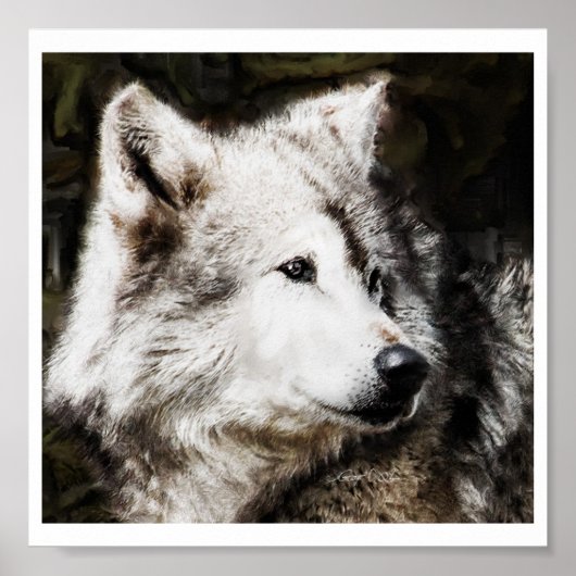 Wolf Head Study Poster (Vorne)