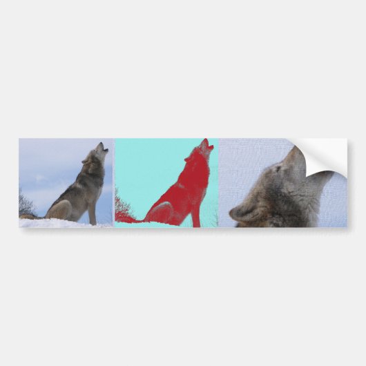 Wolf-Heulen Autoaufkleber (Vorne)