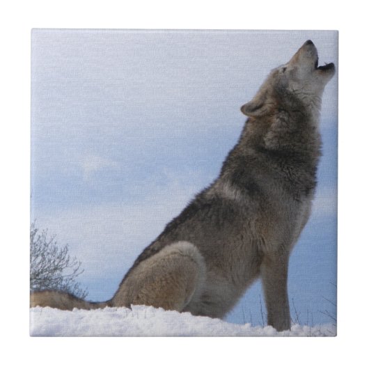 Wolf-Heulen Fliese (Vorderseite)