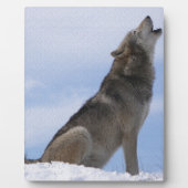 Wolf-Heulen Fotoplatte (Vorderseite)