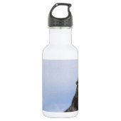 Wolf-Heulen Trinkflasche (Vorderseite)