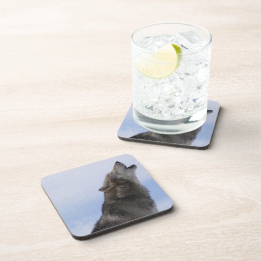 Wolf-Heulen Untersetzer (Rechte Seite)