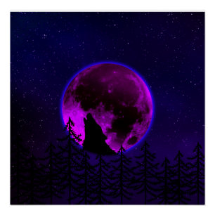 WOLF HEULENDER MOND MAGENTA POSTER