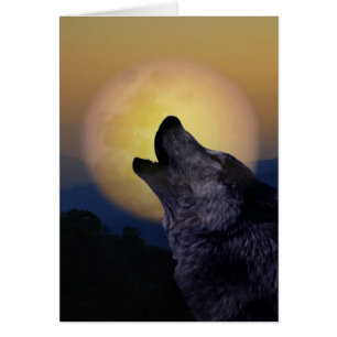 Wolf heult auf dem Mond