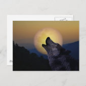 Wolf heult auf dem Mond Postkarte (Vorne/Hinten)