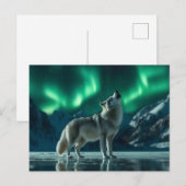 Wolf heult unter den Nordlichtern Postkarte (Vorne/Hinten)