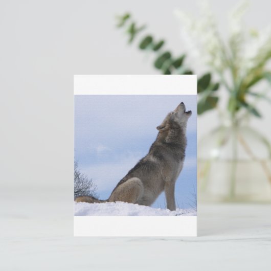 Wolf Howl Postkarte (Stehend Vorderseite)