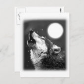 Wolf Howling auf dem Mond Postkarte (Vorne/Hinten)